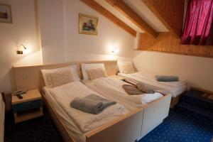 sypialnia z 2 łóżkami w pokoju w obiekcie B&B Col Da La Vila w mieście Canazei