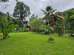 a green yard with a house in the background at Malulee KhaoSok Resort in Khao Sok