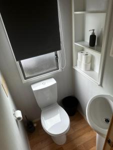 une petite salle de bain avec toilettes et lavabo dans l'établissement Winkups Getaway caravan hire, à Kinmel Bay