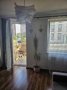 a living room with a potted plant and a window at 7 min od PKP Dworzec Metropolitarny in Lublin +8 photos