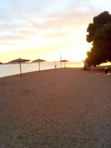 grupa parasoli na plaży z oceanem w obiekcie Studio apartman sirena w mieście Zadar