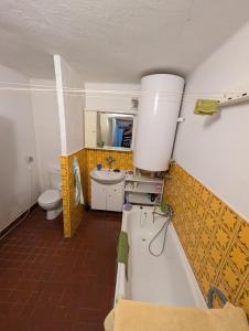 a bathroom with a tub and a sink and a toilet at Prostorná chalupa v Podkrkonoší ideální pro větší skupiny a aktivní dovolenou po celý rok in Mřičná