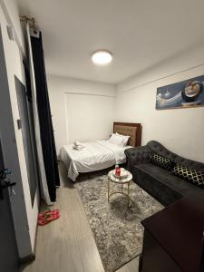 ナイロビにあるGolden Mango Heights Apartmentsのソファとベッドのあるリビングルーム