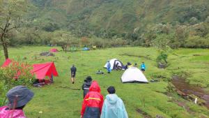 Επισκέπτες που μένουν στο Trekking and Camp Lembah Lohe 2D1N