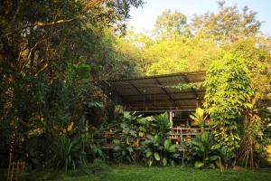 a building in a forest with trees and plants at Aum Hum Homestay in Fang