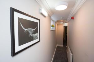 een afbeelding van een stier op een muur in een gang bij The City Hotel in Durham