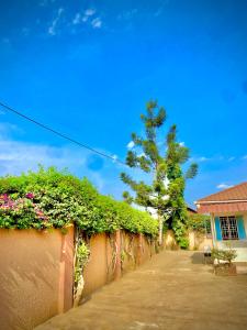 a fence with flowers and a tree in the background at Jacobin Guest House & Cottages in Namulanda