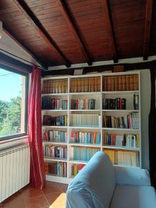 Perpustakaan di rumah percutian +35 gambar