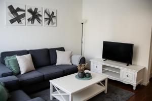 een woonkamer met een blauwe bank en een tv bij Cozy City House in the Heart of Paddington in Sydney