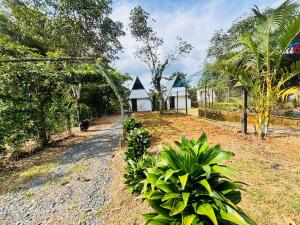 seagullresort في Jāmb: حديقة بها منزل صغير في الخلفية