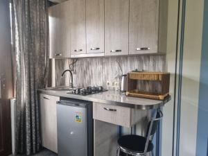 a kitchen with a counter with a sink and a stove at Guest house DAVID in Borjomi