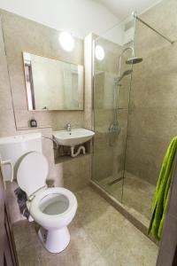 a bathroom with a toilet and a sink and a shower at Lake Experience - Casa de vacanta in Măineasca
