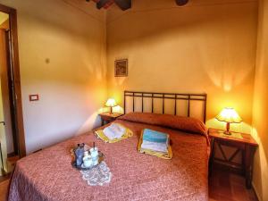 a bedroom with a bed with two lamps and two tables at Apartment in Radda with Garden in Radda in Chianti