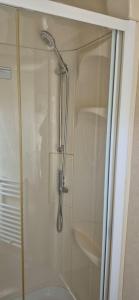 a shower with a shower head in a bathroom at Superb 8 Berth Dog Friendly Caravan To Hire In Norfolk Ref 10054B in Belton