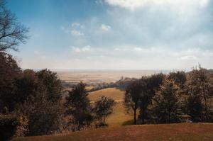 a view of a field with trees on a hill at Hostellerie Kemmelberg in Kemmel