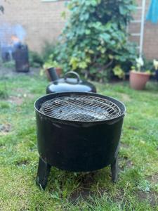 バーミンガムにあるCozy Studio in Birmingham Kingstandingの庭の草の中に座る黒焼き