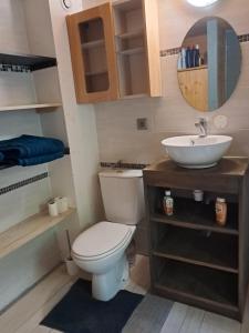 une salle de bains avec toilettes et lavabo dans l'établissement Gîte Les Balcons des usses, à Frangy