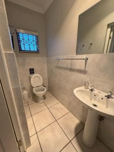 Un baño con inodoro, lavabo y espejo. en Apartment 1 - Rivervilla or Apartment 2 - Stone Cottage, en Underberg