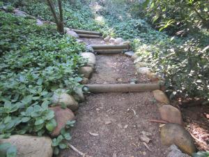 a stone path in a garden with rocks and trees at Pecan Tree Forest Studio A with Terrace in Stellenbosch
