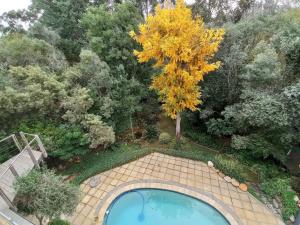 an overhead view of a swimming pool in a garden at Pecan Tree Forest Studio A with Terrace in Stellenbosch