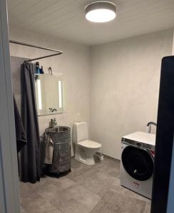 a bathroom with a toilet and a sink at Udda boende med wow-känsla och spabad på terrassen in Löderup +16 photos