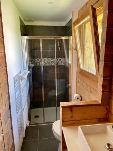 a bathroom with a shower with a toilet and a sink at Le Chalet 20min PuyduFou in La Meilleraie-Tillay