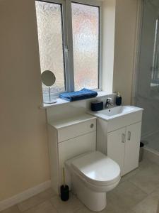 a bathroom with a toilet and a sink and a window at Wookey Holiday Flat in Wookey