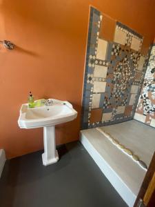a bathroom with a sink and a shower at Bokmakierie Studio in Montagu