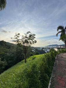 un árbol en una colina con vistas al río en Quiet Seaview House 1 Bedroom Patong, en Patong Beach