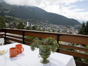 a table with a plant in a vase on a balcony at Apartment Mirador 186 by Interhome in Verbier