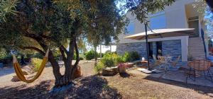 a patio with a tree and a swing and an umbrella at Cap en Corse in Farinole