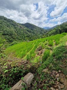 Φωτογραφία από το άλμπουμ του Heeloya mount view garden σε Kande