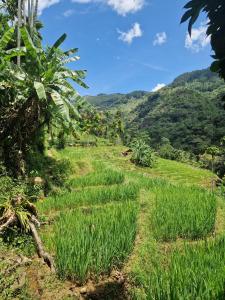 Φωτογραφία από το άλμπουμ του Heeloya mount view garden σε Kande