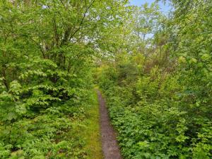 Un paisaje natural cerca de la casa vacacional