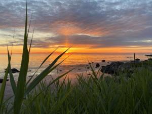 a sunset on the beach with grass in the foreground at Holiday Home Scarlet - 5m from the sea by Interhome in Hasle