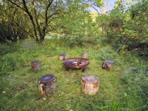 eine Gruppe von Baumstämmen und eine Wanne auf einem Feld mit Bäumen in der Unterkunft Holiday Home Elif - 30km from the sea by Interhome in Toftlund