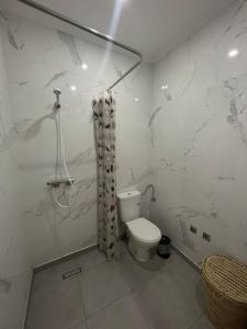 a white bathroom with a toilet and a shower at Apartment amina in Azrou +25 photos