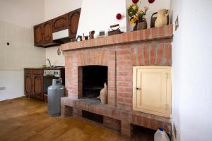 a brick fireplace in a kitchen with a cat sitting on it at BasicNature in Lavello