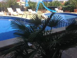 Kép Lozenets Resort Hotel szállásáról Lozenecben a galériában