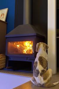 Fotografie z fotogalerie ubytování Casa Rural Teja Vieja v destinaci Duruelo + 28 fotografií