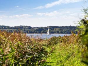 a sailboat on a lake with trees in the background at Holiday Home Berta - 70m to the fjord by Interhome in Roslev
