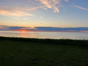 a sunset over a body of water with a grass field at Holiday Home Eyer - 20m from the sea by Interhome in Korsør
