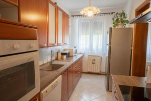 a kitchen with a sink and a refrigerator at Apartment ROKO with sauna & view in Brod Moravice