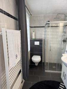 a bathroom with a shower and a toilet and a sink at Monteurswohnung Rothentor4 in Steffin +3 photos