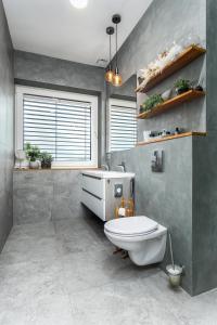 a bathroom with a toilet and a sink at Apartmán Rezidence Malá Louka in Kublov