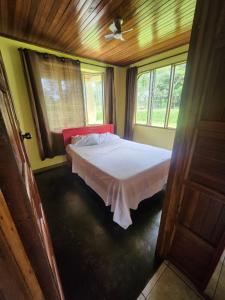 Fotografie z fotogalerie ubytování Milagro's House v destinaci Muelle del Arenal + 40 fotografií