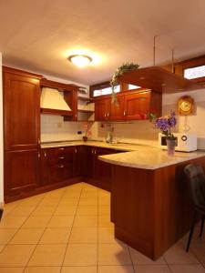 a kitchen with wooden cabinets and a large island at Cesa Pegghy in Canazei