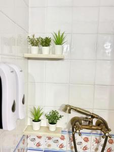 Billede fra billedgalleriet på EL TESORILLO i Córdoba