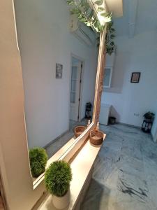 En have udenfor EL TESORILLO