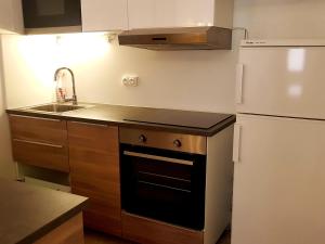 Η κουζίνα ή μικρή κουζίνα στο Superbe T2 Centre Brides-les-Bains avec Balcon et Wifi - FR-1-512-102